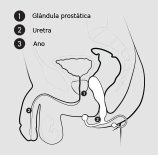 como-poner-estimulador-prostata