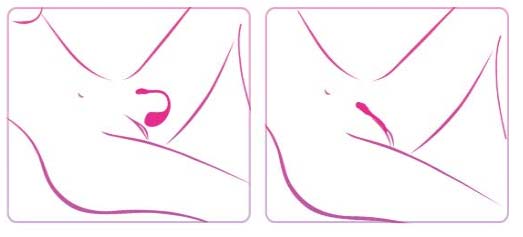 INSERTAR-LUSH-LOVENSE